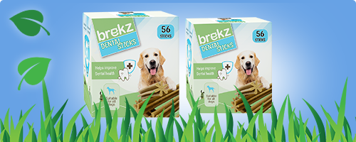 NEU: Brekz Dental Sticks für Ihren Hund